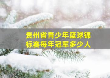 贵州省青少年篮球锦标赛每年冠军多少人