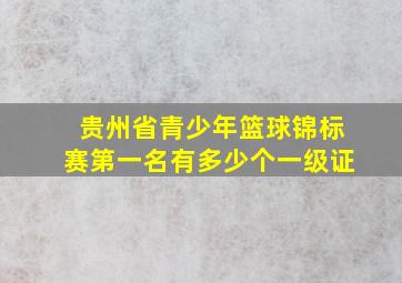 贵州省青少年篮球锦标赛第一名有多少个一级证