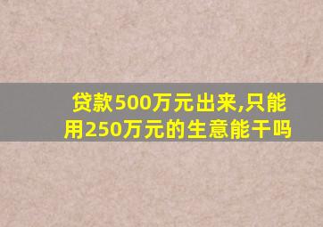 贷款500万元出来,只能用250万元的生意能干吗