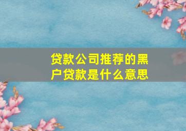 贷款公司推荐的黑户贷款是什么意思