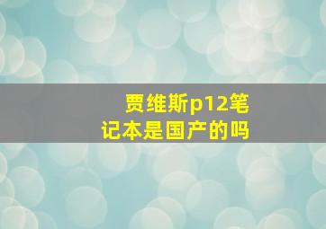 贾维斯p12笔记本是国产的吗