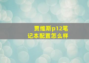 贾维斯p12笔记本配置怎么样