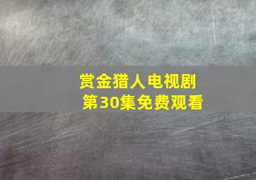 赏金猎人电视剧第30集免费观看