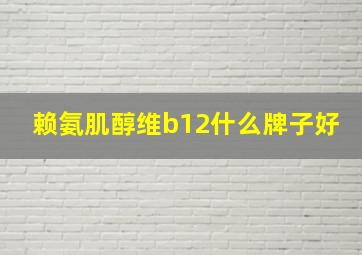 赖氨肌醇维b12什么牌子好