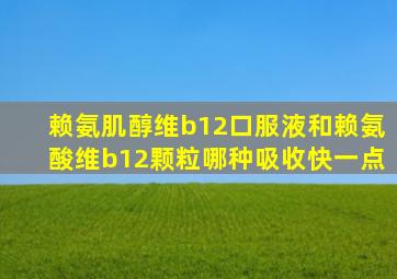 赖氨肌醇维b12口服液和赖氨酸维b12颗粒哪种吸收快一点