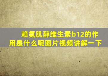 赖氨肌醇维生素b12的作用是什么呢图片视频讲解一下