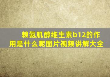 赖氨肌醇维生素b12的作用是什么呢图片视频讲解大全