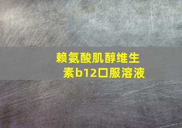 赖氨酸肌醇维生素b12口服溶液