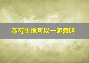 赤芍生地可以一起煮吗