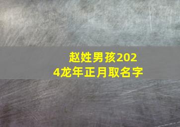 赵姓男孩2024龙年正月取名字