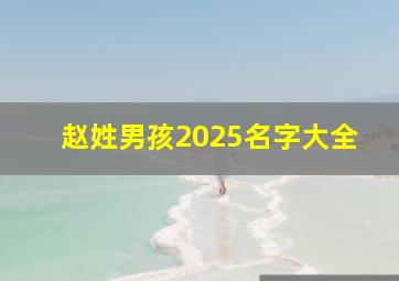 赵姓男孩2025名字大全