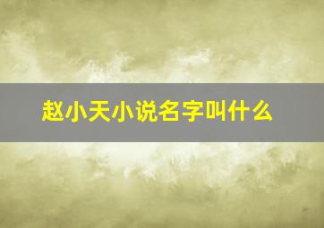 赵小天小说名字叫什么