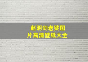 赵明剑老婆图片高清壁纸大全