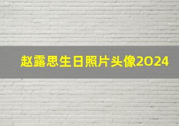 赵露思生日照片头像2O24