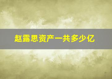 赵露思资产一共多少亿