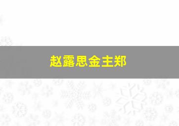 赵露思金主郑