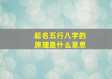 起名五行八字的原理是什么意思