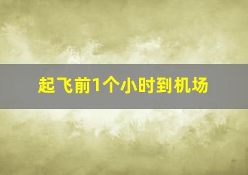 起飞前1个小时到机场