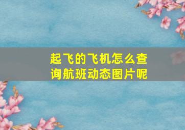 起飞的飞机怎么查询航班动态图片呢