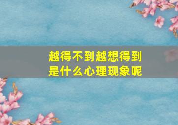 越得不到越想得到是什么心理现象呢