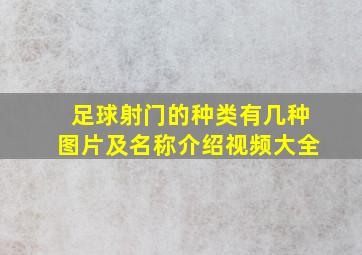 足球射门的种类有几种图片及名称介绍视频大全