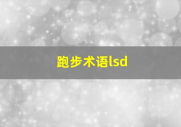 跑步术语lsd