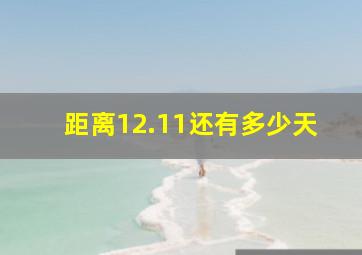 距离12.11还有多少天