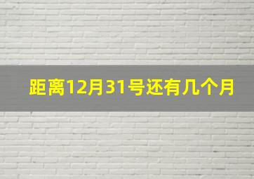 距离12月31号还有几个月