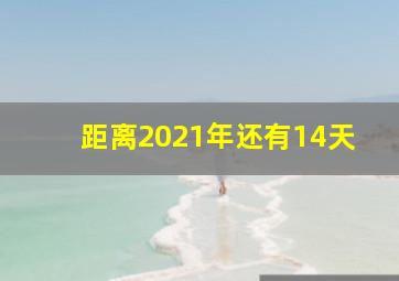 距离2021年还有14天