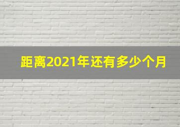 距离2021年还有多少个月