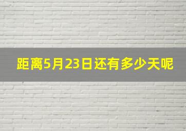 距离5月23日还有多少天呢