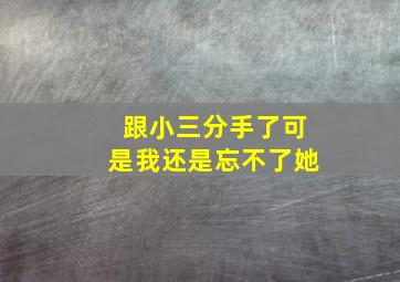 跟小三分手了可是我还是忘不了她