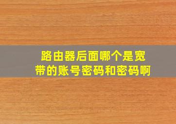 路由器后面哪个是宽带的账号密码和密码啊