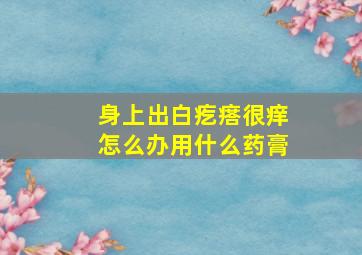 身上出白疙瘩很痒怎么办用什么药膏