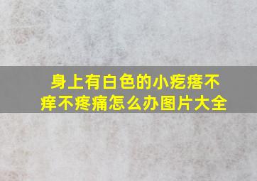 身上有白色的小疙瘩不痒不疼痛怎么办图片大全