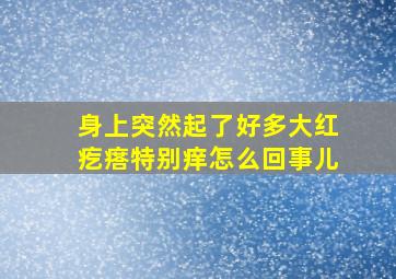 身上突然起了好多大红疙瘩特别痒怎么回事儿