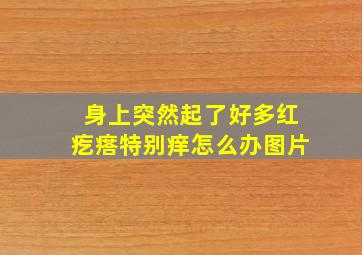 身上突然起了好多红疙瘩特别痒怎么办图片