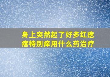 身上突然起了好多红疙瘩特别痒用什么药治疗