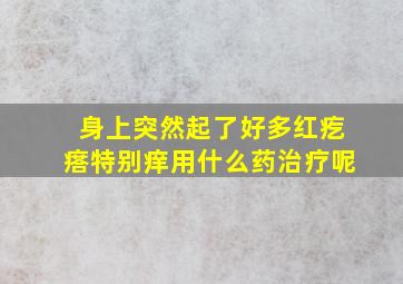 身上突然起了好多红疙瘩特别痒用什么药治疗呢