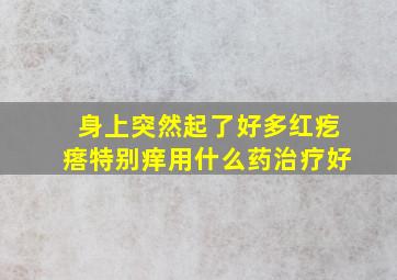 身上突然起了好多红疙瘩特别痒用什么药治疗好