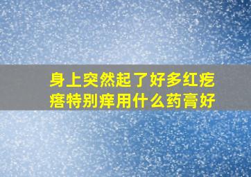 身上突然起了好多红疙瘩特别痒用什么药膏好