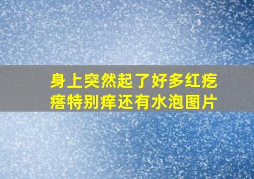 身上突然起了好多红疙瘩特别痒还有水泡图片