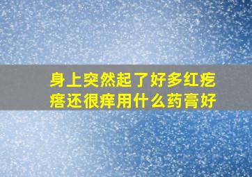 身上突然起了好多红疙瘩还很痒用什么药膏好