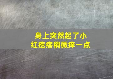 身上突然起了小红疙瘩稍微痒一点