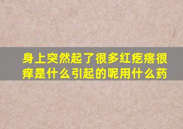 身上突然起了很多红疙瘩很痒是什么引起的呢用什么药