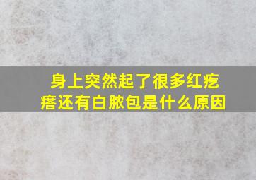 身上突然起了很多红疙瘩还有白脓包是什么原因