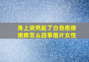 身上突然起了白色疙瘩很痒怎么回事图片女性