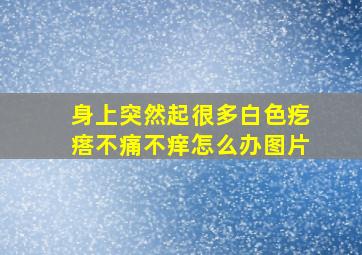 身上突然起很多白色疙瘩不痛不痒怎么办图片