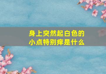 身上突然起白色的小点特别痒是什么