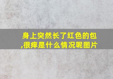 身上突然长了红色的包,很痒是什么情况呢图片